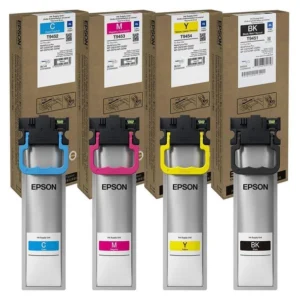 Gaziosmanpaşa Epson hizmet uygulaması